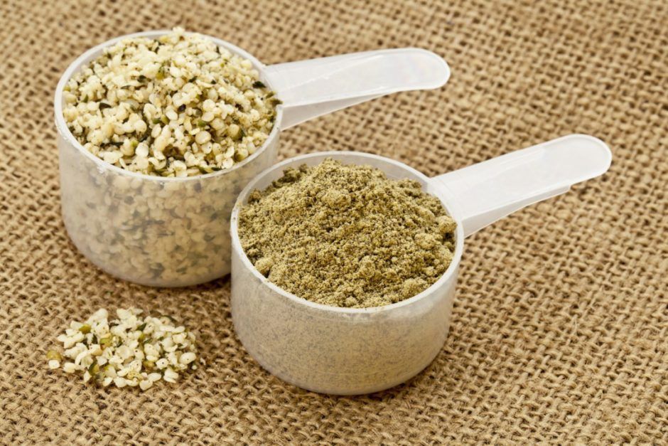 Hemp Protein Powder Review