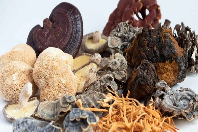 Why We Would All Benefit from Consuming Medicinal Mushrooms